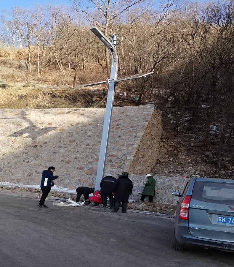 太阳能路灯(图3)