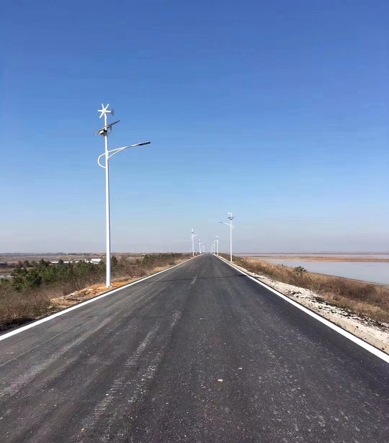 太阳能路灯(图2)